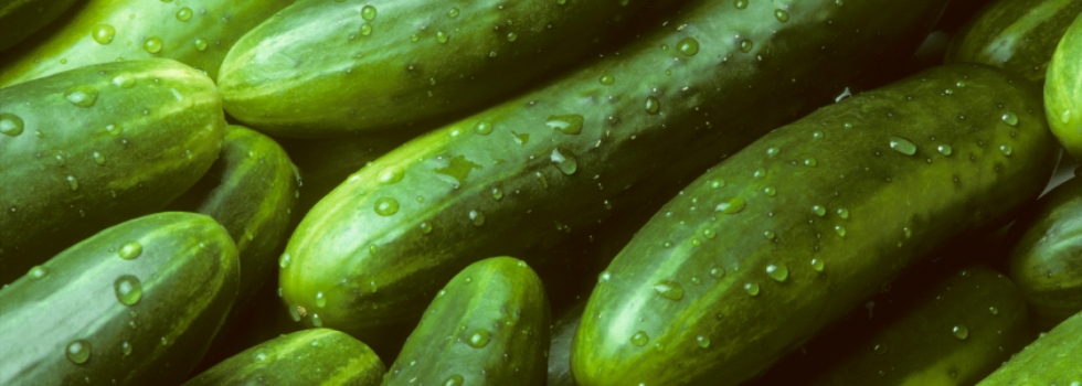 Cucumber Raita Recipe